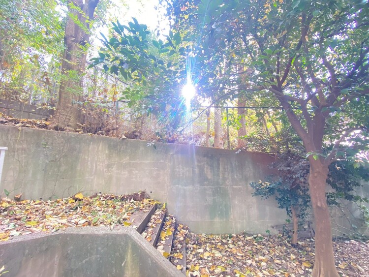 バルコニー 眺望や窓からの景色が良いと、家で過ごす時間も快適です。