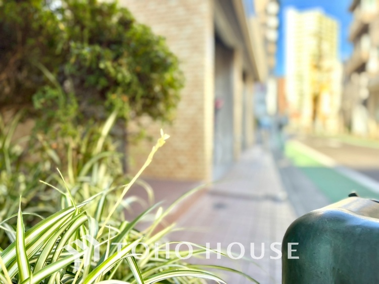 外観 【APPEARANCE】◆眩い◆光が燦々と入り、家族の笑顔を照らす。「いつまでも続いて」と願う夢のような毎日がここにある。