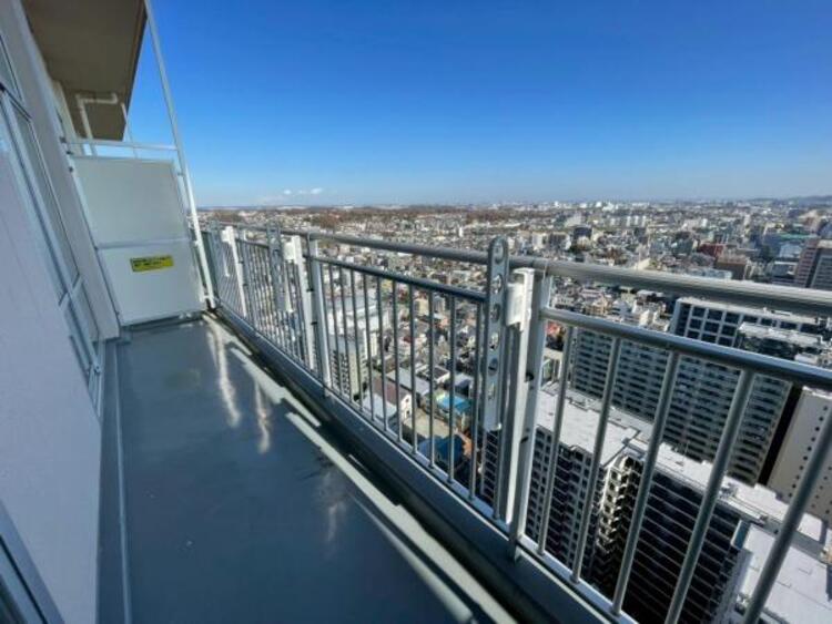 その他 【2025年11月撮影】