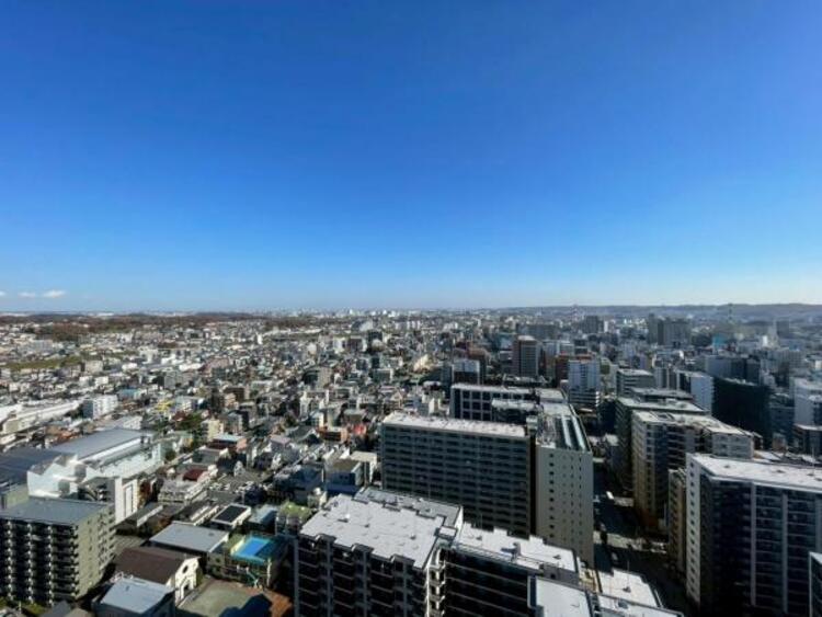 その他 【2025年11月撮影】