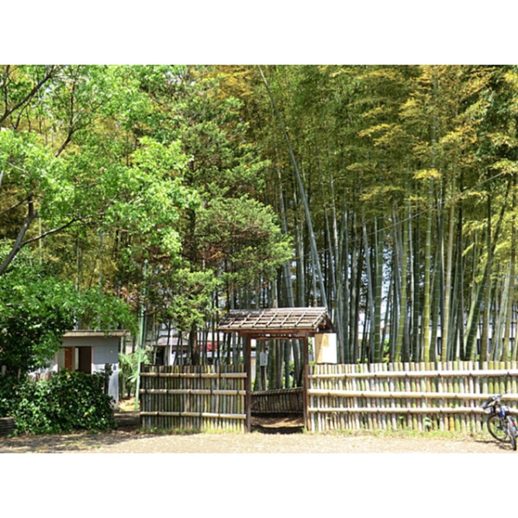 周辺 竹林公園(約700m)