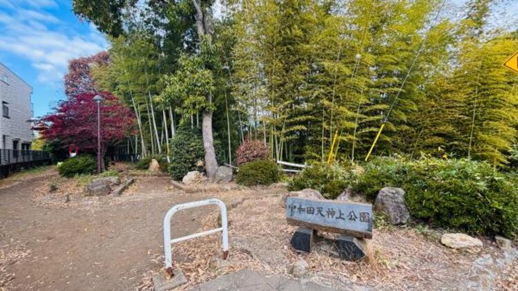 周辺 中和田天神上公園　110ｍ
