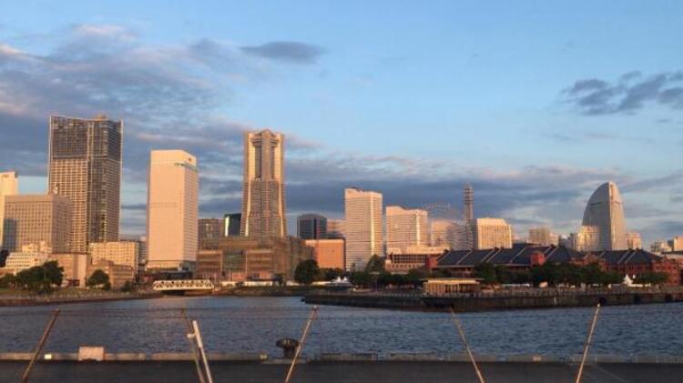 周辺 大桟橋からの景色	900m