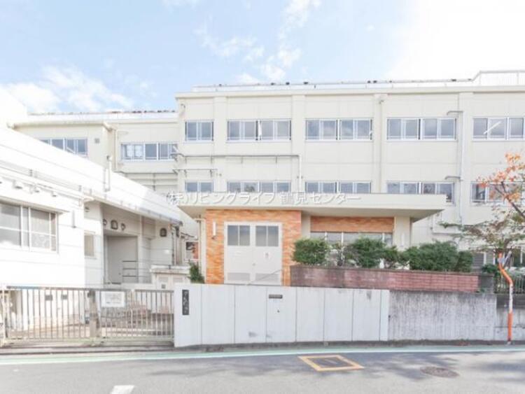 周辺 横浜市立一本松小学校　610m