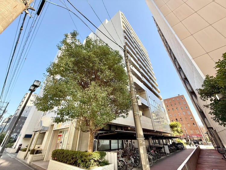 その他 忙しく過ぎゆく日常を置き去るほど、ゆったりした時間が流れる住環境。