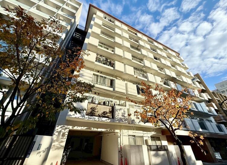 その他 忙しく過ぎゆく日常を置き去るほど、ゆったりした時間が流れる住環境。