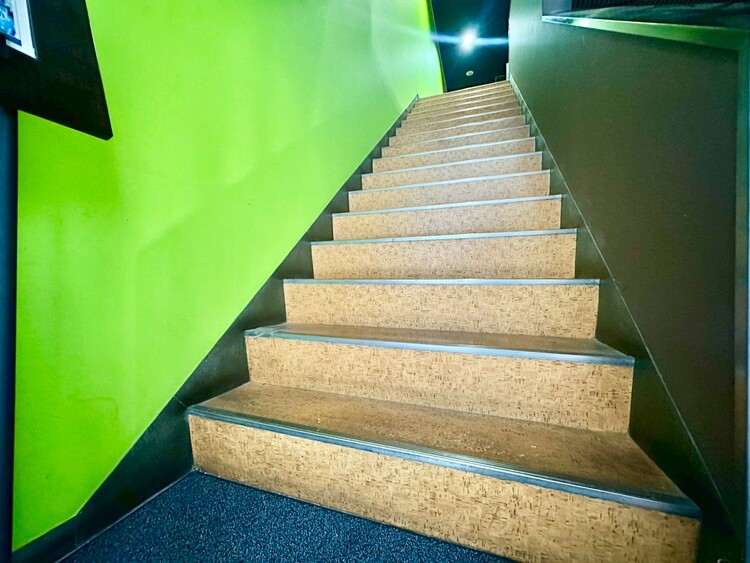 その他 共用部の階段です。明るく清潔に管理されています。