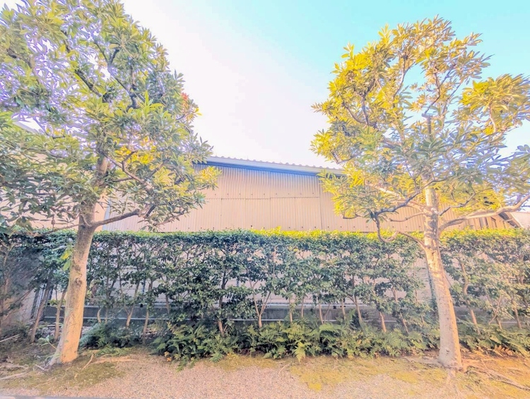 バルコニー 頬をなでる、優しい風を感じることが出来ます。