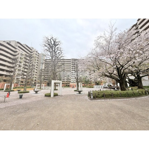 シーズウィッシュ志木の物件画像