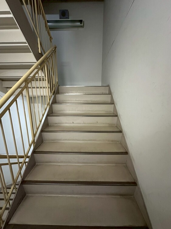 その他 共用部の階段です。明るく清潔に管理されています。