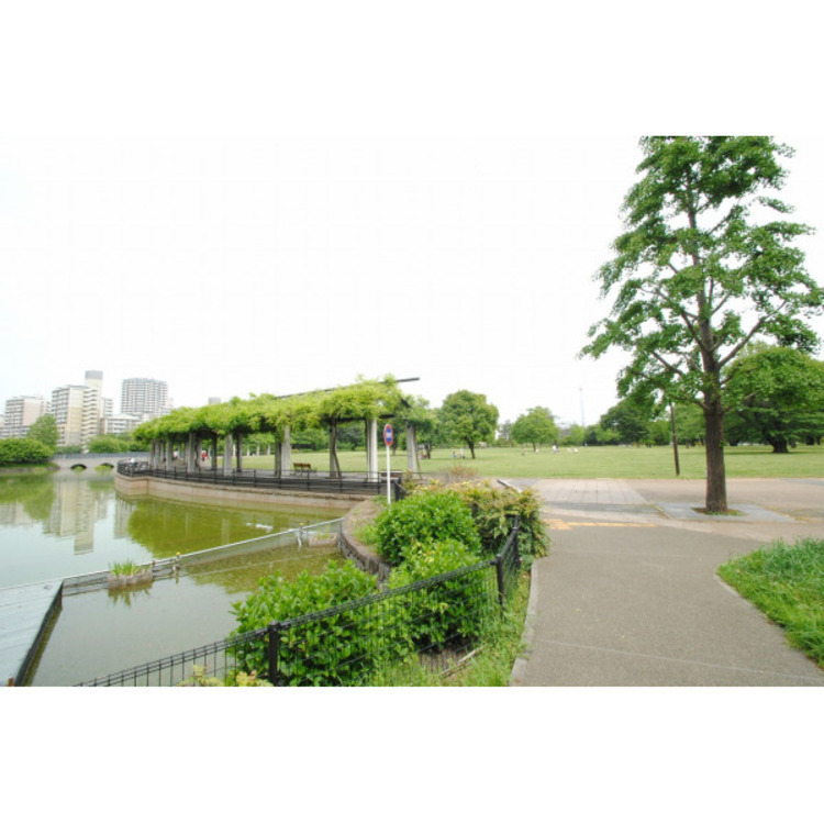 周辺 武蔵国分寺公園(約620m)