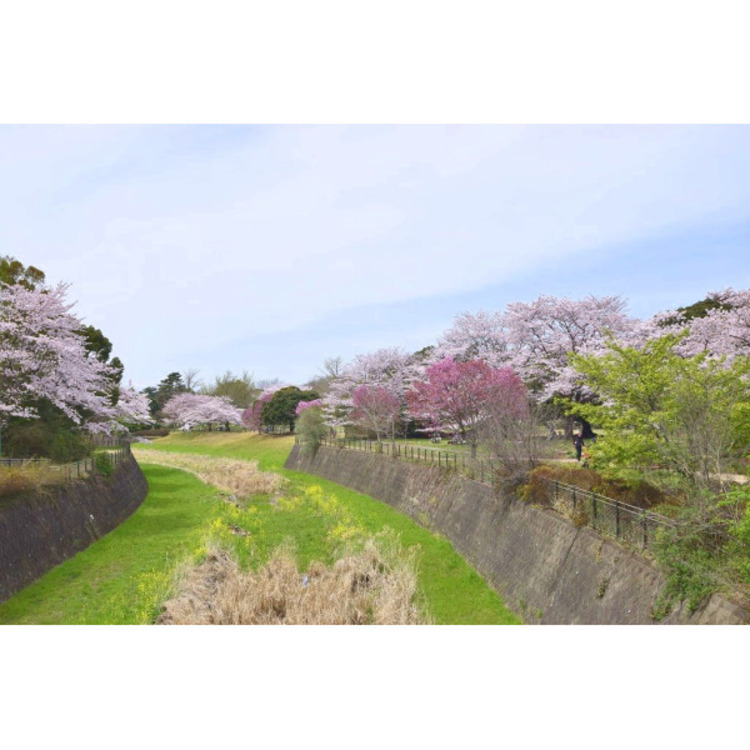 周辺 昭和記念公園(約1000m)