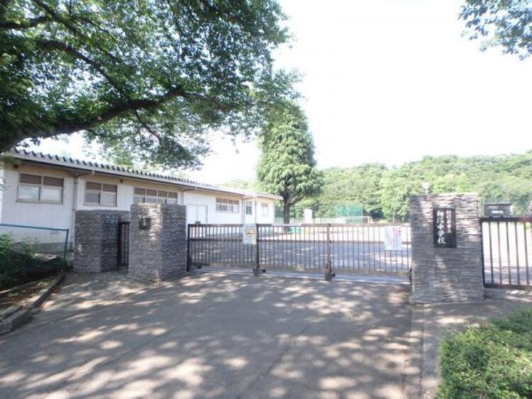 周辺 相陽中学校まで約3673ｍ