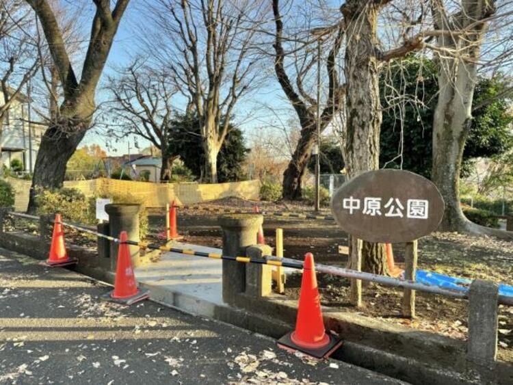 周辺 中原公園迄280ｍ