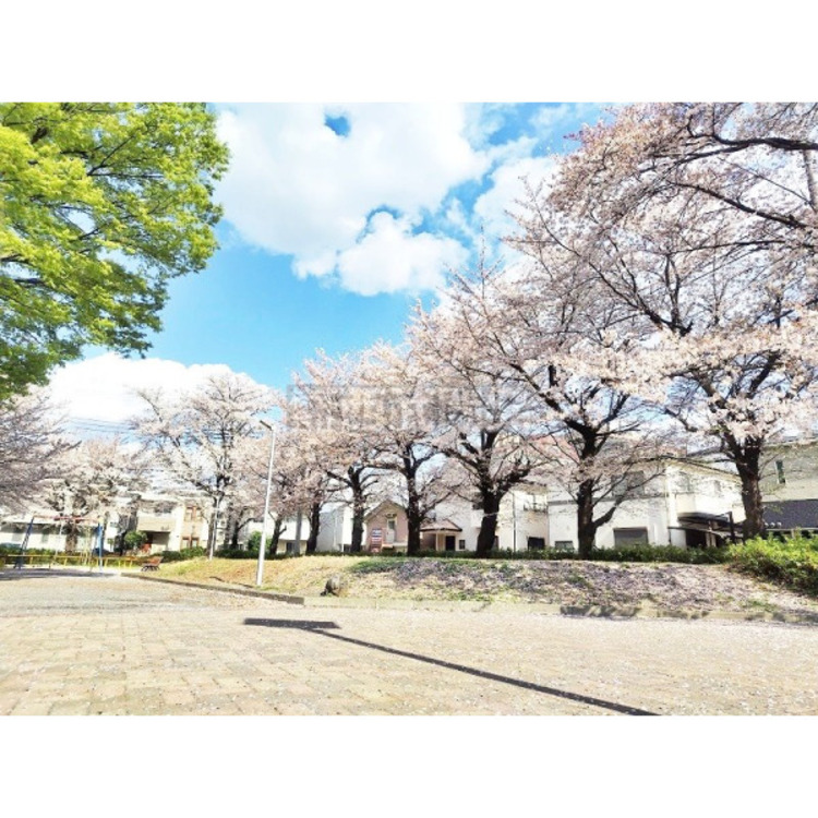 周辺 市沢公園(約140m)