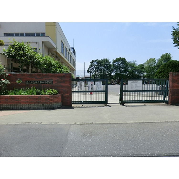 周辺 国立第八小学校(約520m)