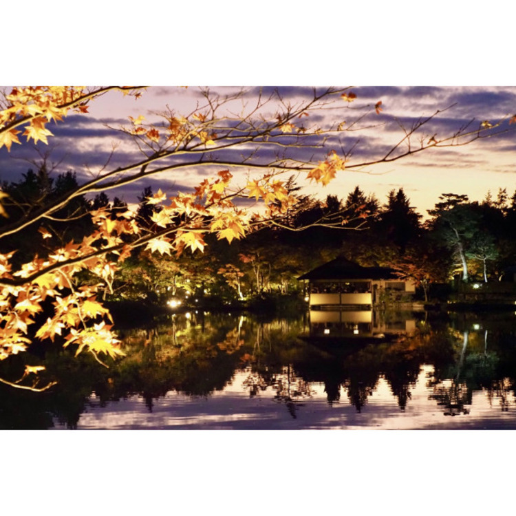 周辺 国立昭和記念公園(約400m)