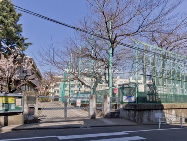 周辺 渋谷区立鉢山中学校 300m