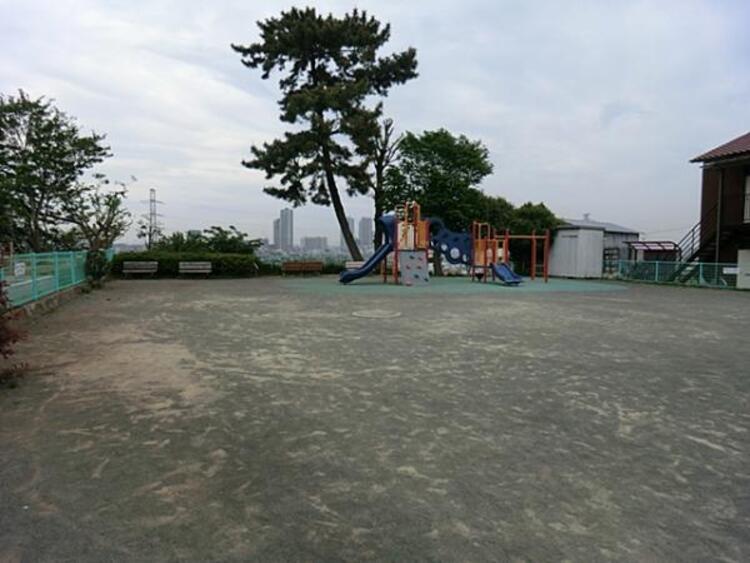 周辺 井田伊勢台公園　800ｍ