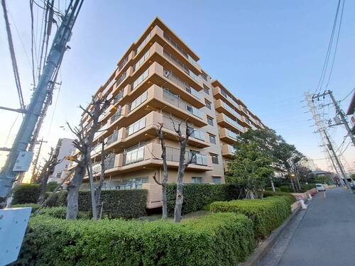 常和綱島サンハイツの物件画像