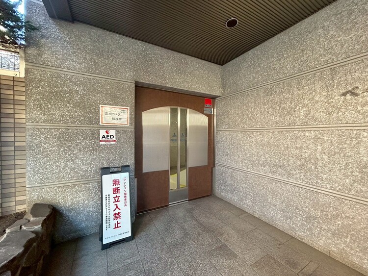 その他 上質感漂う玄関アプローチです。