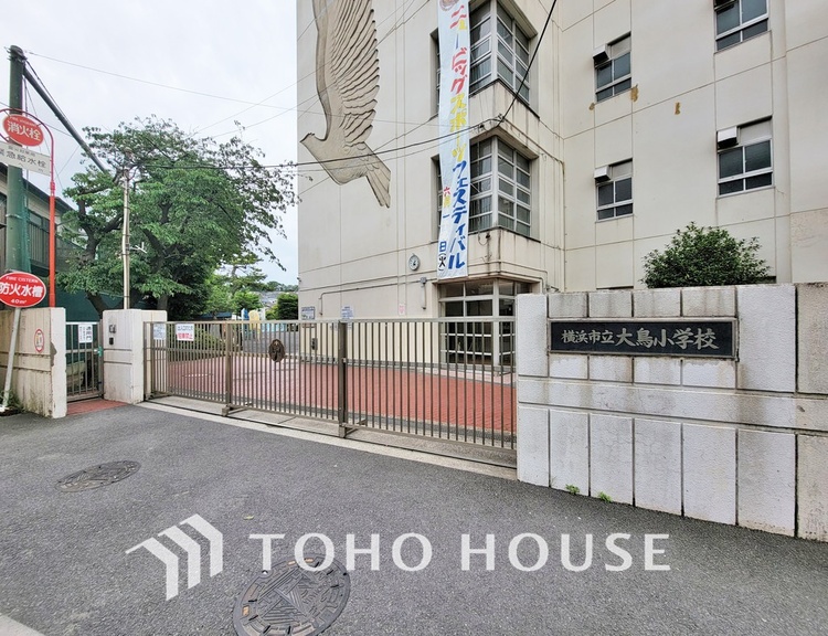 周辺 横浜市立大鳥小学校　距離500m