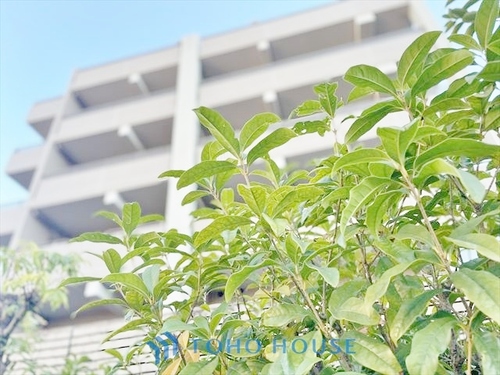 コスモ田端シティフォルムの物件画像