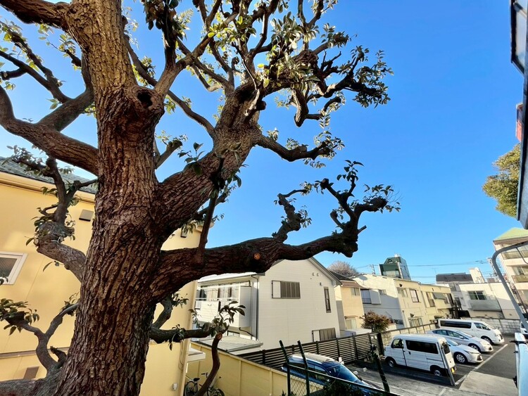 その他 眺望や窓からの景色が良いと、家で過ごす時間も快適です。