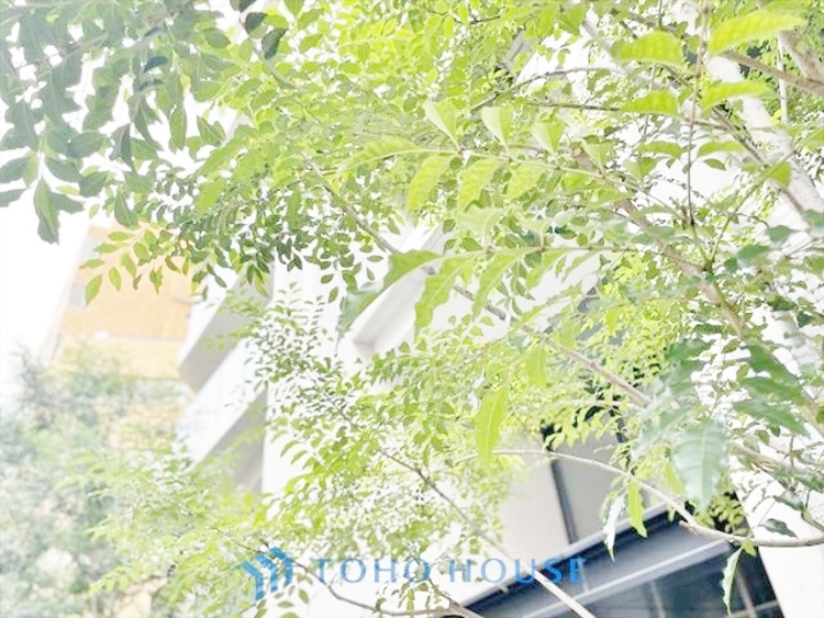 外観 ◆水面に映る◆紅葉を纏った山々を眺め、美しさのあまり感嘆のため息を漏らした事は無いだろうか。いつしか忘れかけていた自然の美しさと力強さを思い出させてくれる、そんな景色がここにもある。