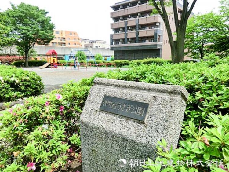 周辺 仲町台うさぎ公園260ｍ