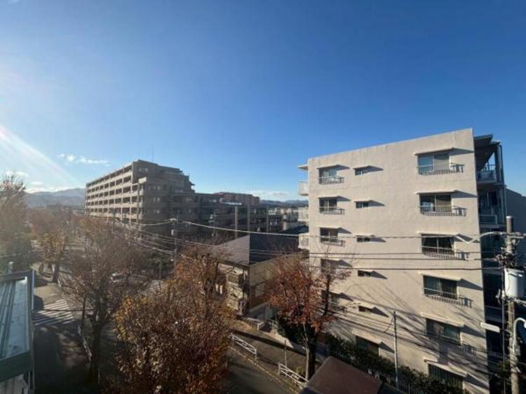 その他 【2025年12月撮影】