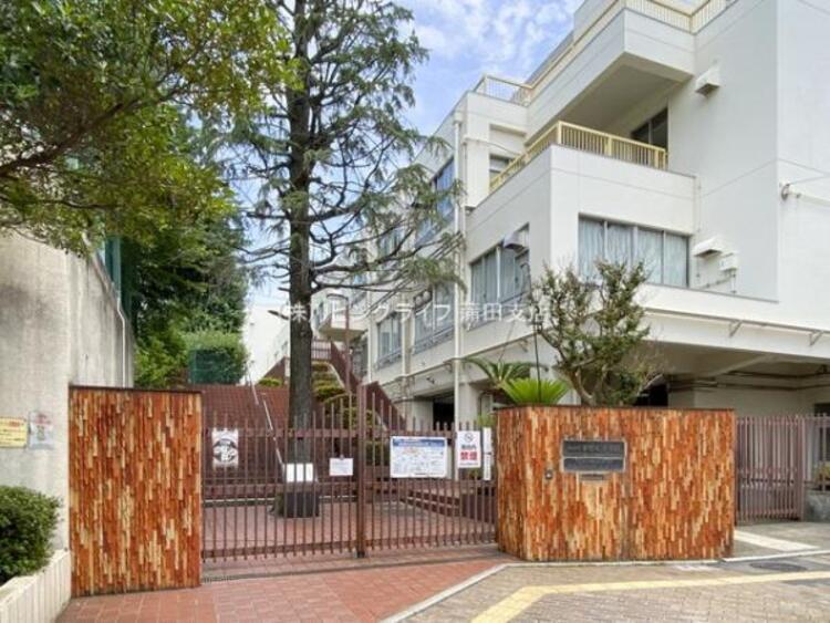 周辺 渋谷区立常磐松小学校　290m