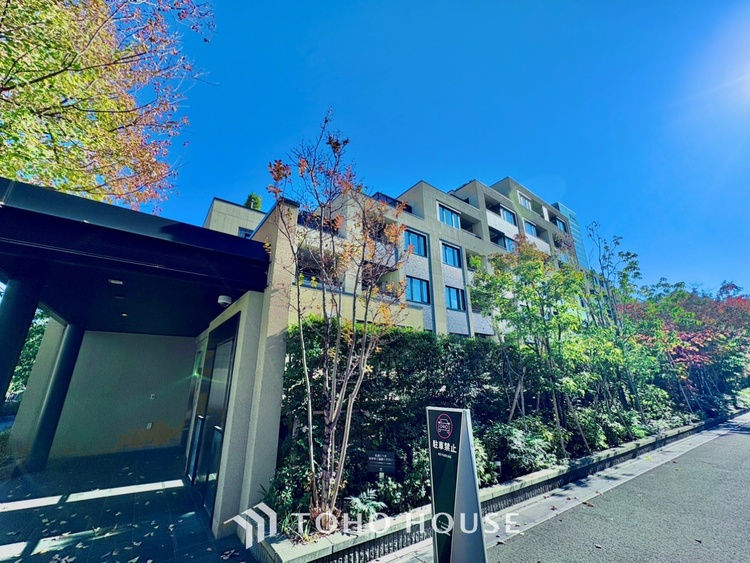 キッチン ◆木漏れ日◆の様な採光が優しく足元を照らし、心地いい暮らしの道しるべを写し出す。この空間で過ごす家族との語らいの時間がとても素敵で幸せを感じるかもしれない。