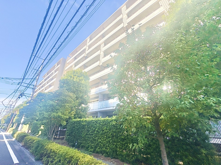 外観 【APPEARANCE】◆家族◆愛する家族を一目で見渡せる。家族が集う空間。永遠に続く幸せな毎日を、ここで。