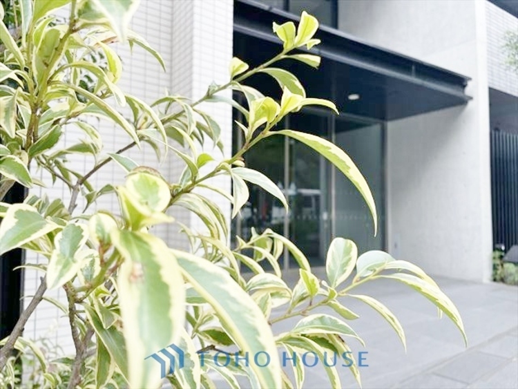 エントランス ◆木漏れ日◆の様な採光が優しく足元を照らし、心地いい暮らしの道しるべを写し出す。この空間で過ごす家族との語らいの時間がとても素敵で幸せを感じるかもしれない。