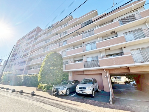 サンクタス西新井の物件画像