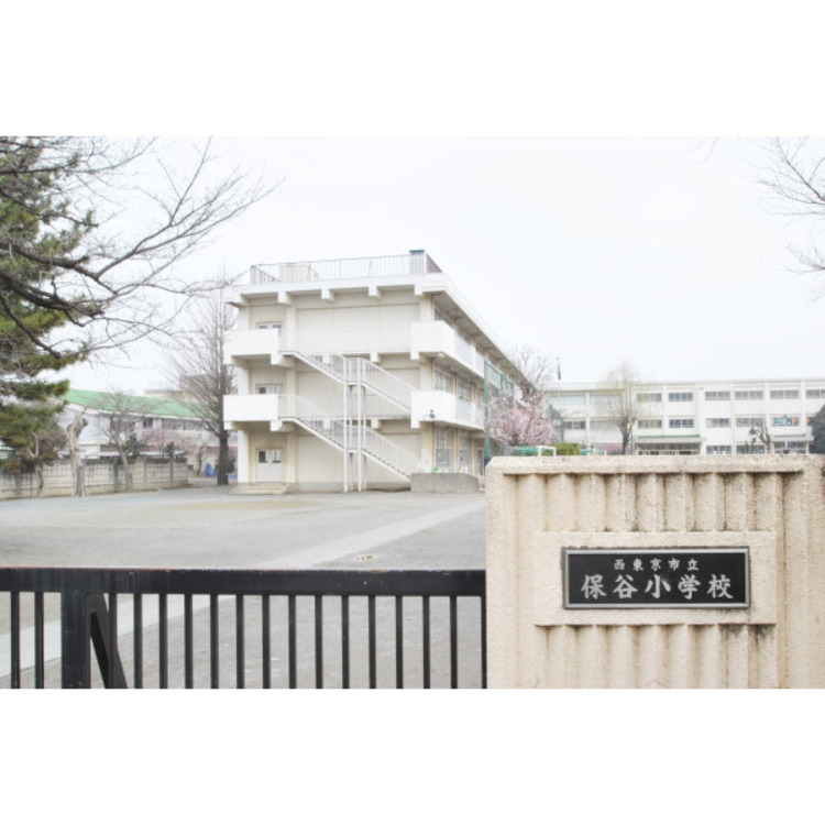 周辺 西東京市立保谷小学校(約490m)