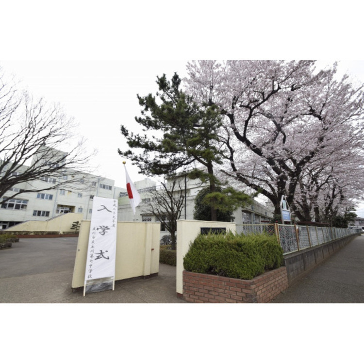 周辺 第七中学校(約2500m)