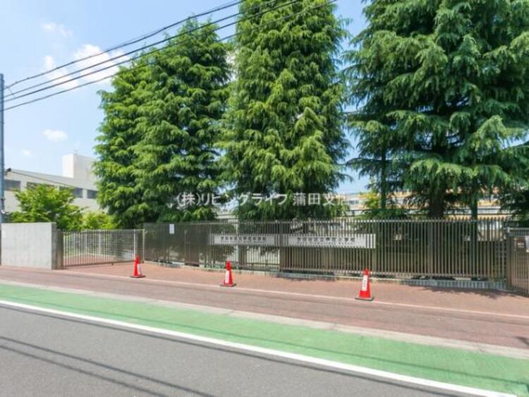 周辺 世田谷区立芦花中学校　1140ｍ