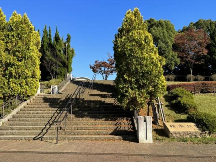 周辺 松木公園迄370ｍ