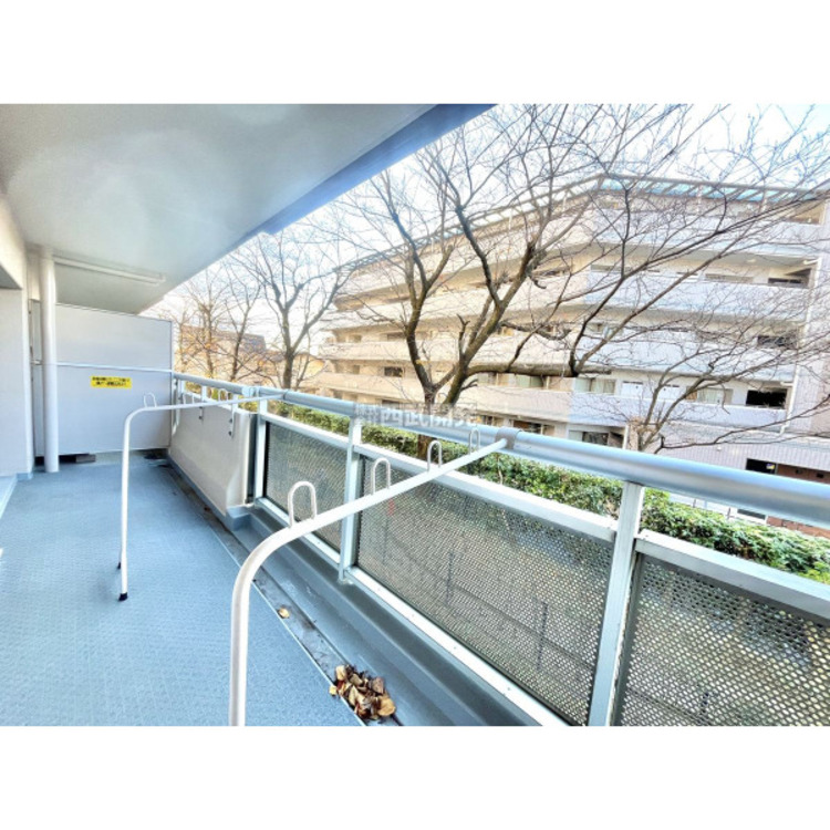 バルコニー 2025/12/5撮影