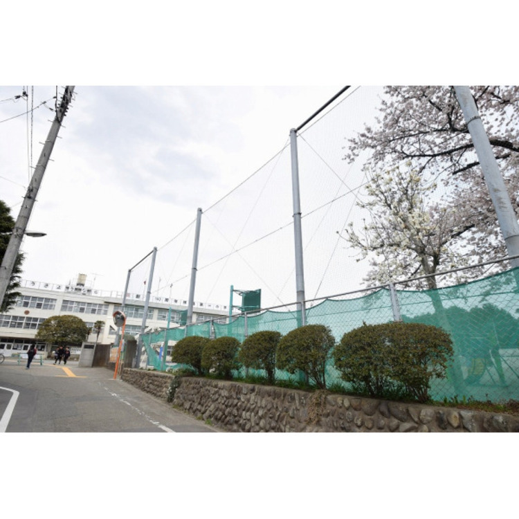 周辺 拝島第一小学校(約550m)