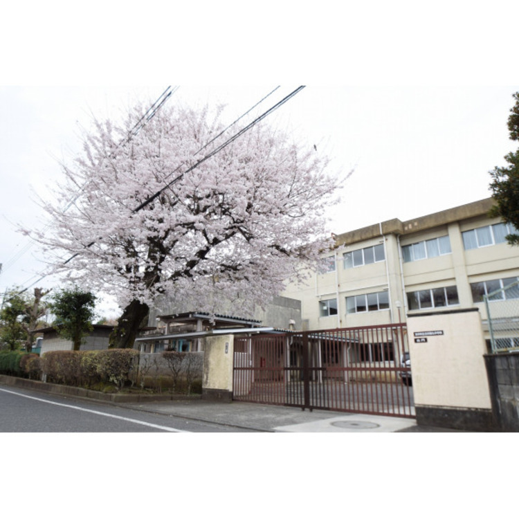 周辺 第九中学校(約640m)