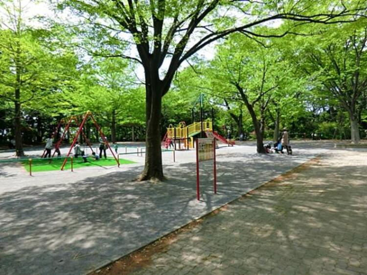 周辺 綱島公園 　1000m