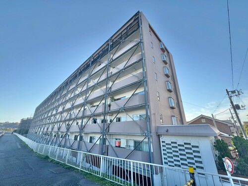 豊栄綱島マンションの物件画像