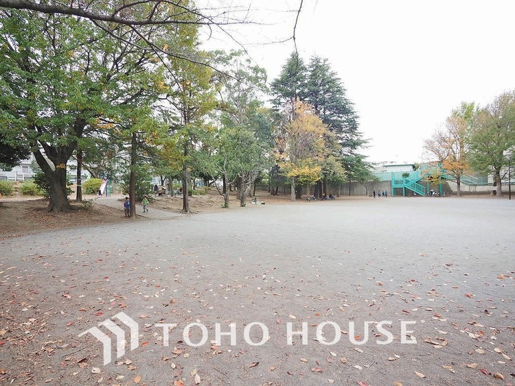 周辺 宮前平公園　距離700m
