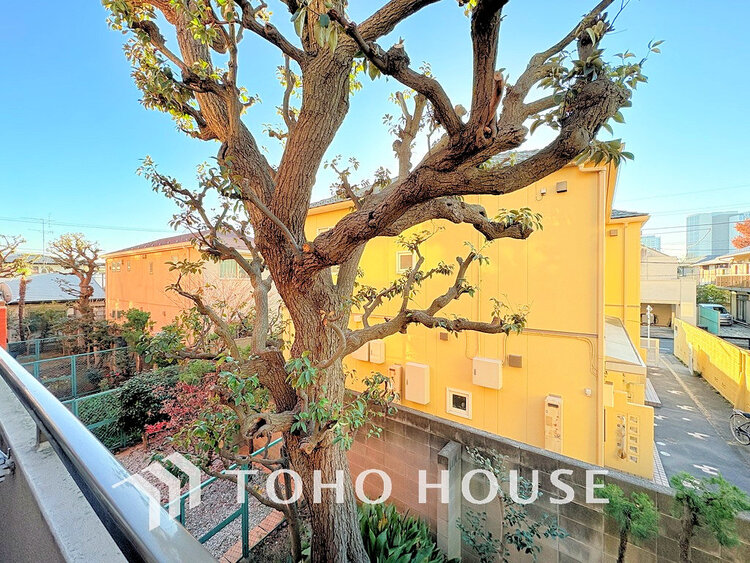 その他 住戸からの眺望