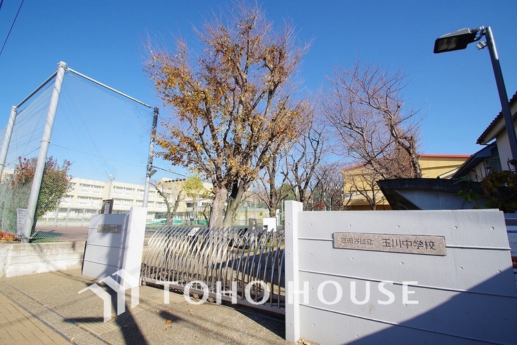 周辺 世田谷区立玉川中学校　距離800m