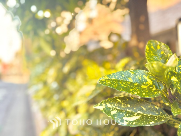 外観 ほんの少しのこだわり。ちょっとした色使いがその家がもつ雰囲気、趣（おもむき）を携え、暮らす家族や訪ねてくる友人・知人に新鮮な香りを運んできます。