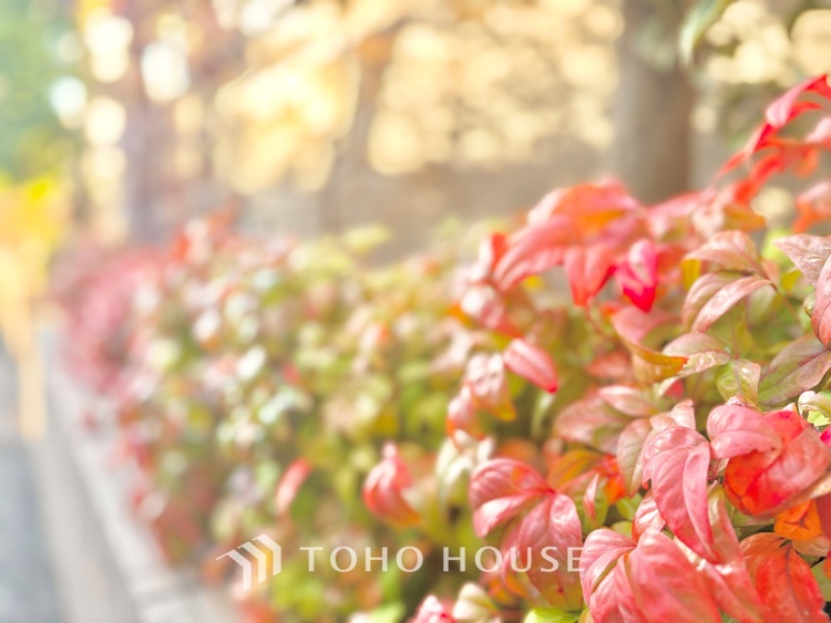 外観 ほんの少しのこだわり。ちょっとした色使いがその家がもつ雰囲気、趣（おもむき）を携え、暮らす家族や訪ねてくる友人・知人に新鮮な香りを運んできます。